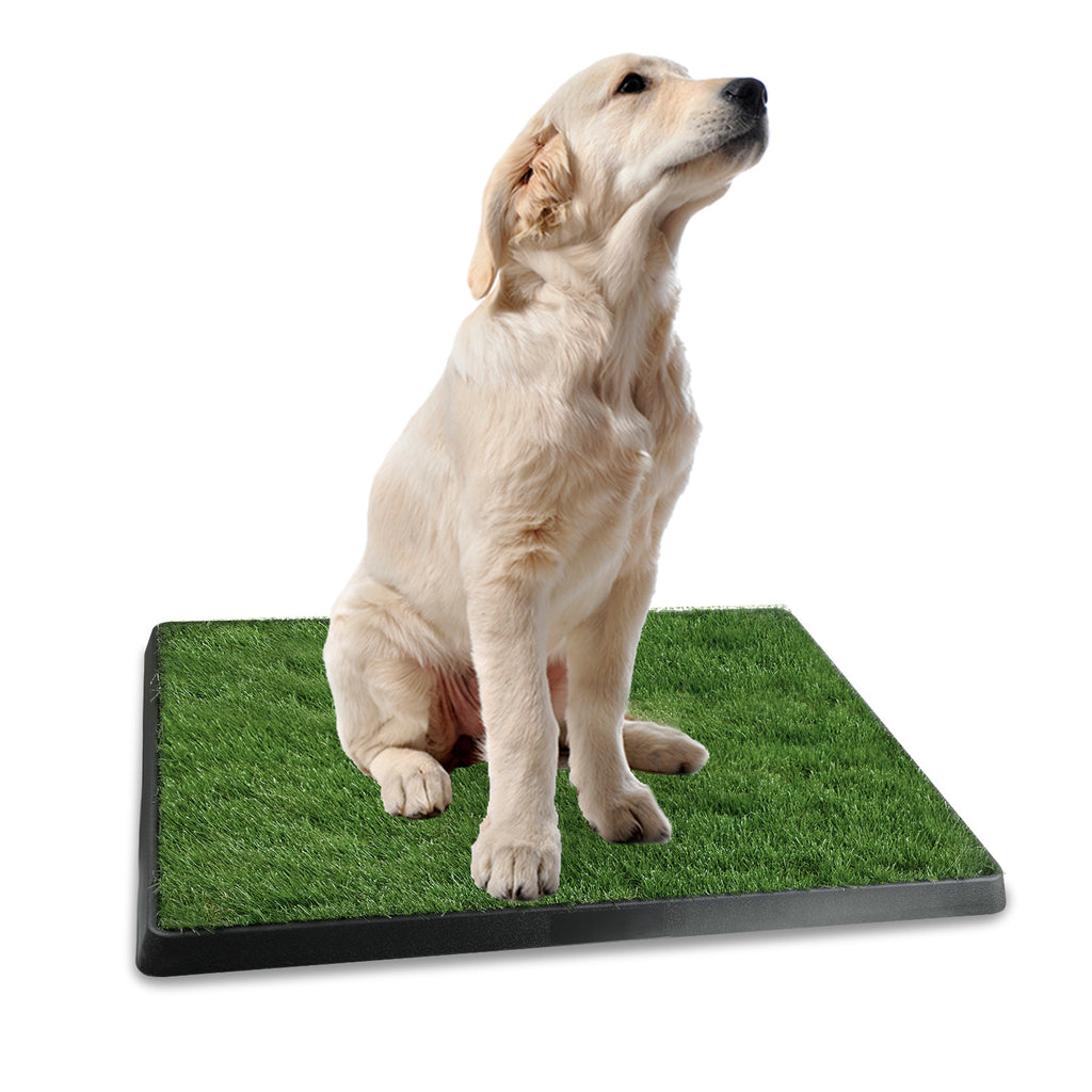 Dog Potty Training Pad – Artificial Grass Mat with Loo Tray for Puppies — Dog Training | GetPawsy