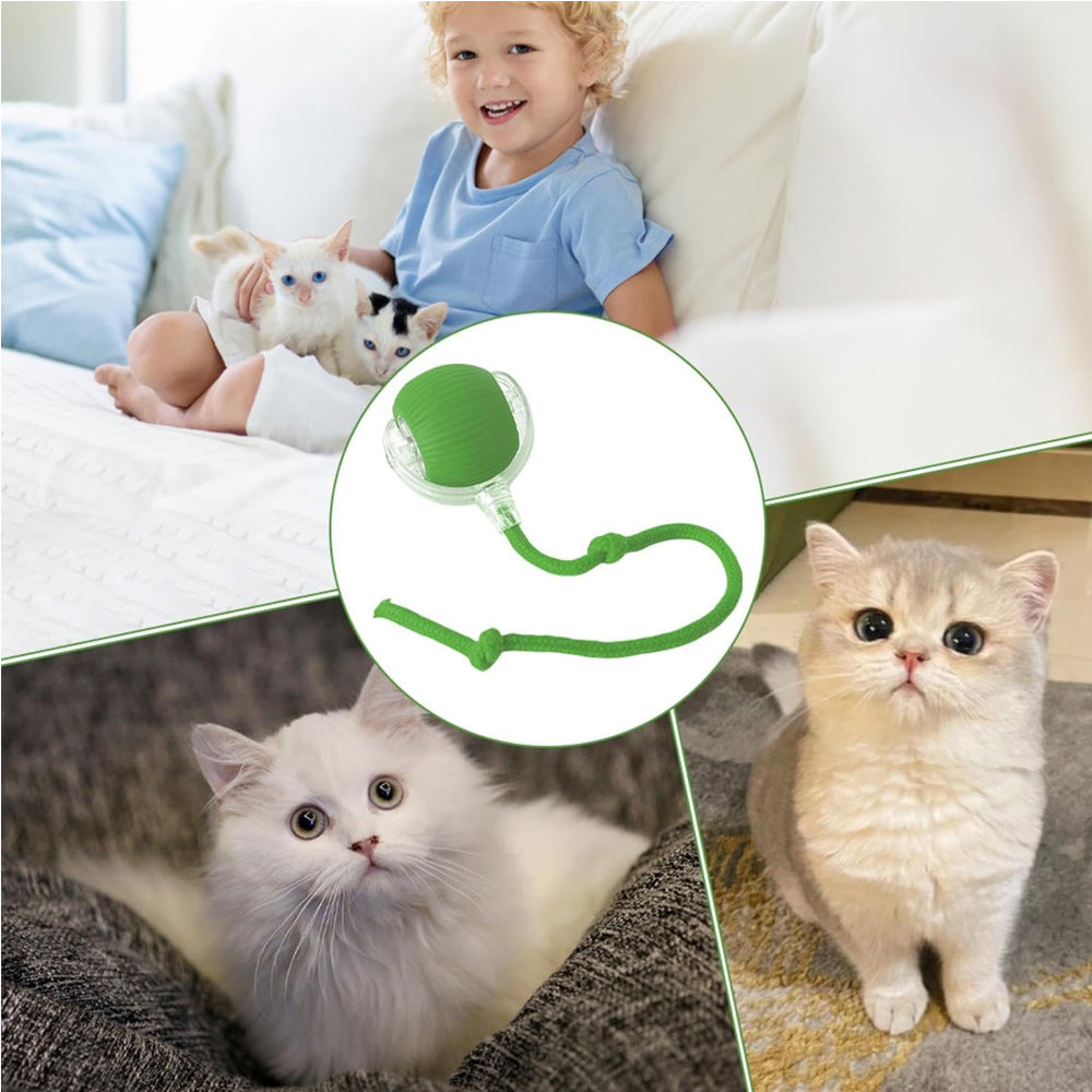 Electric Dog Cat Ball Toy,Indoor Large And Small Cat Dog Interactive Intelligent Rolling Pet Ball — Pet Chase Toys | GetPawsy