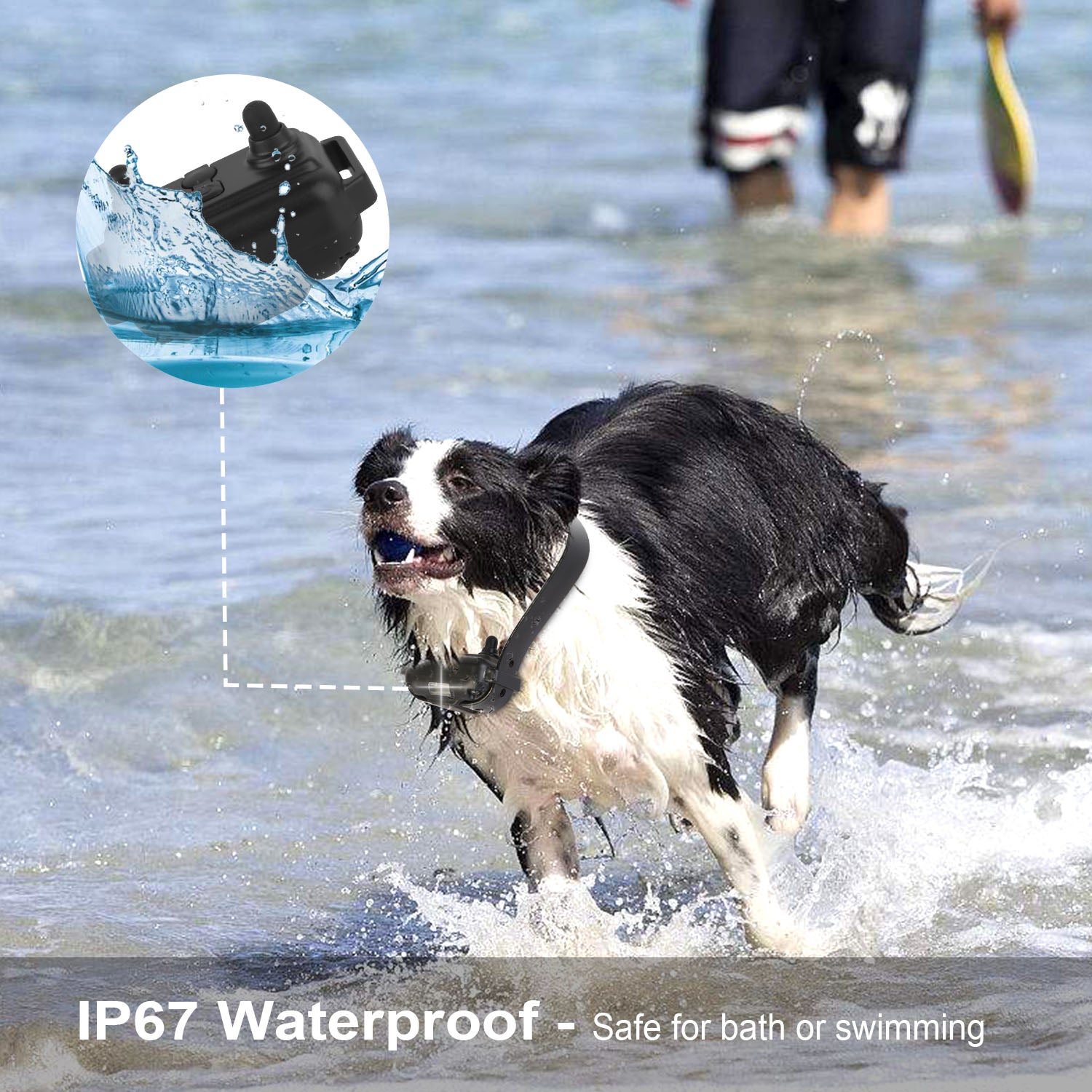 Durable Dog Training Collar – Waterproof Remote with 4 Modes — Dog Training | GetPawsy