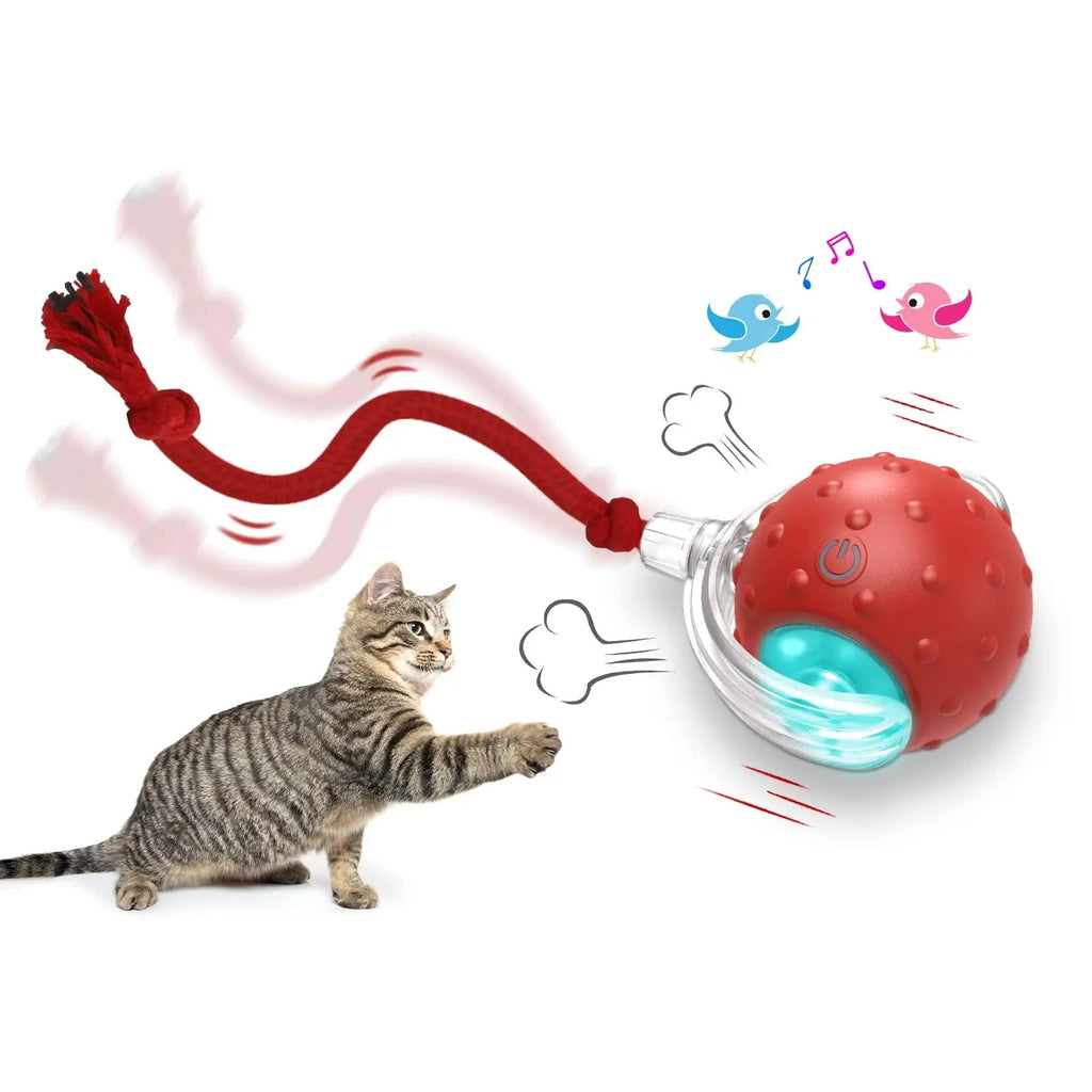 Interactive Cat Toy Ball Super Drive Cat Rolling Ball — Cat Toys | GetPawsy