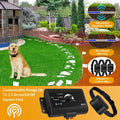 Electric Dog Fence System – Water-Resistant Containment Collar for Dogs — Dog Toys | GetPawsy