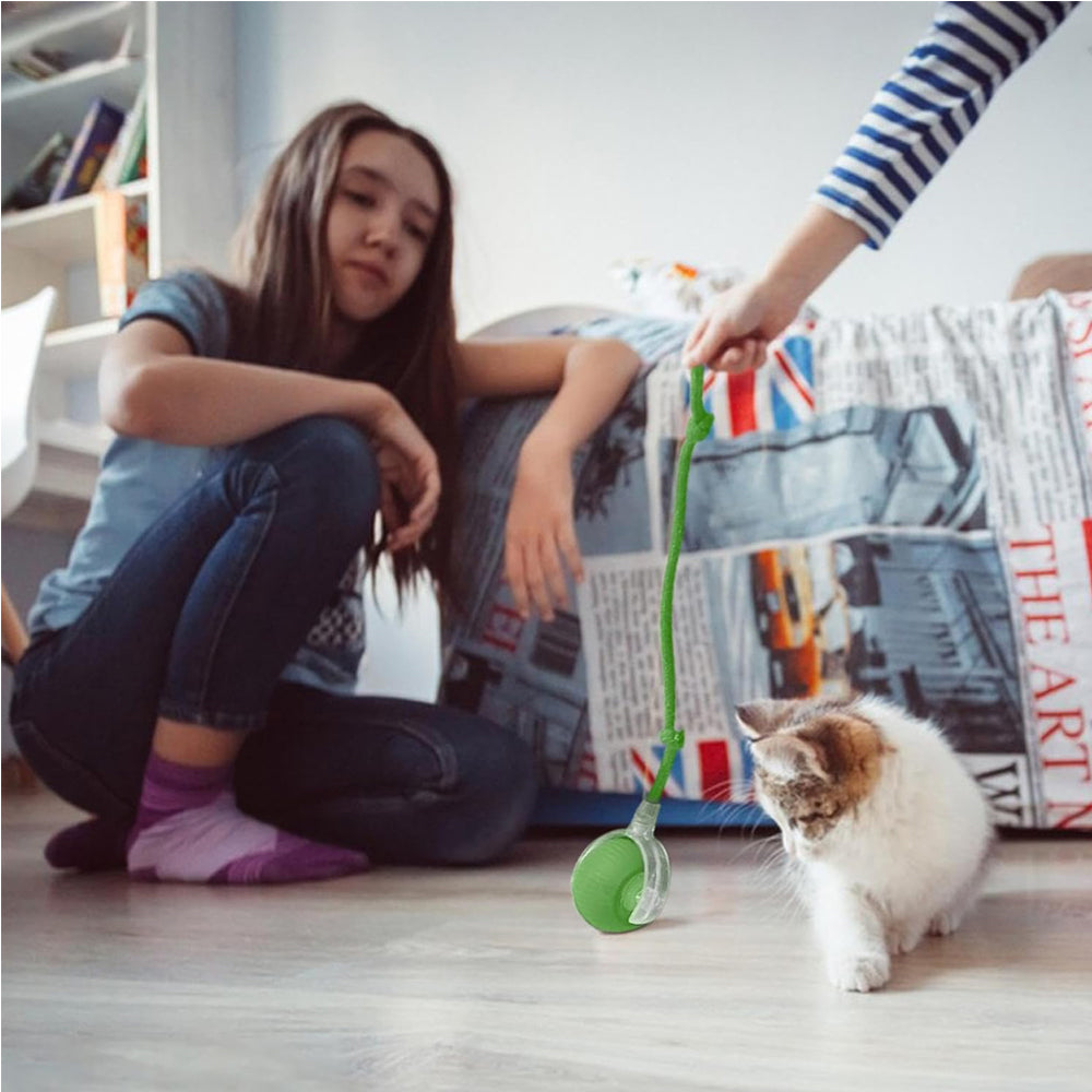 Electric Dog Cat Ball Toy,Indoor Large And Small Cat Dog Interactive Intelligent Rolling Pet Ball — Pet Chase Toys | GetPawsy