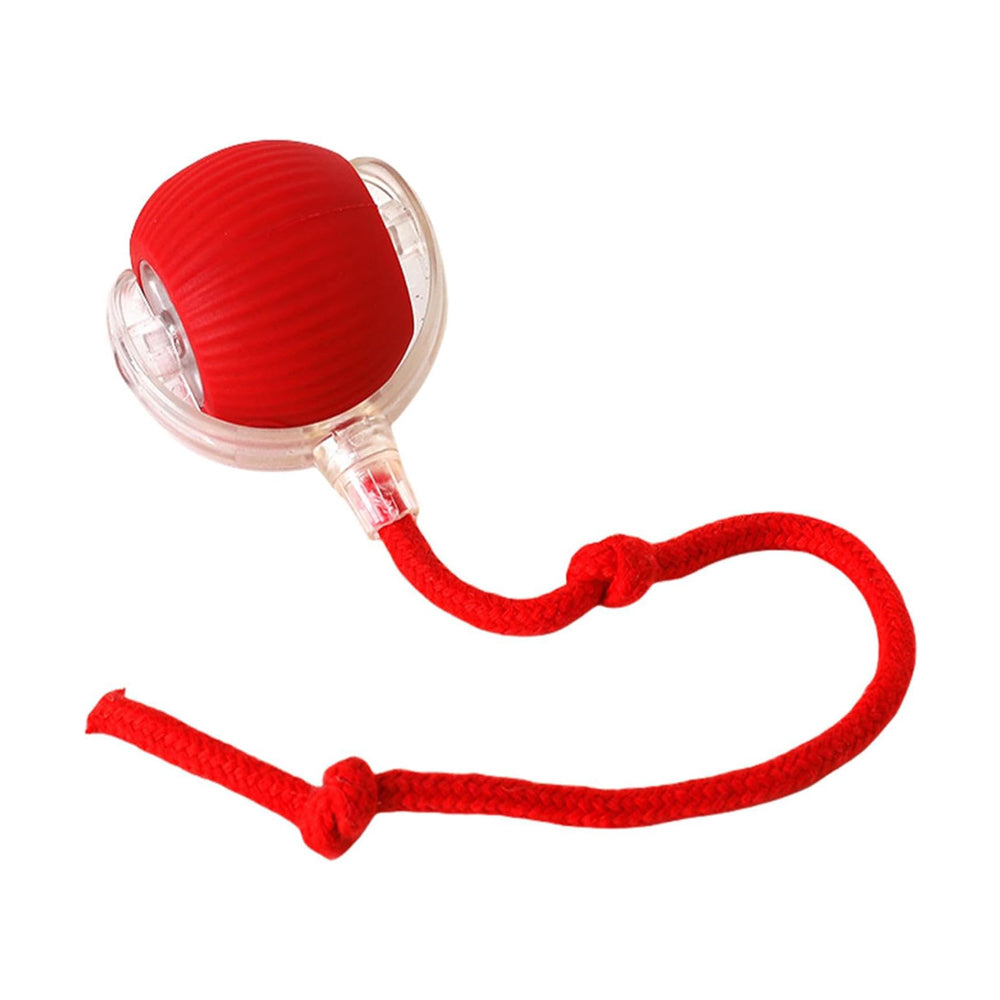 Electric Dog Cat Ball Toy,Indoor Large And Small Cat Dog Interactive Intelligent Rolling Pet Ball — Pet Chase Toys | GetPawsy