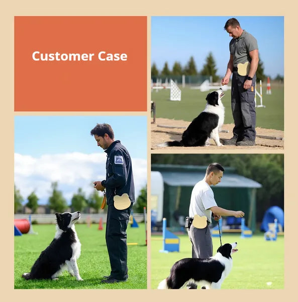 Dog Training Treat Pouch – Food-Grade Silicone Bag with Hanging Buckle — Dog Training | GetPawsy