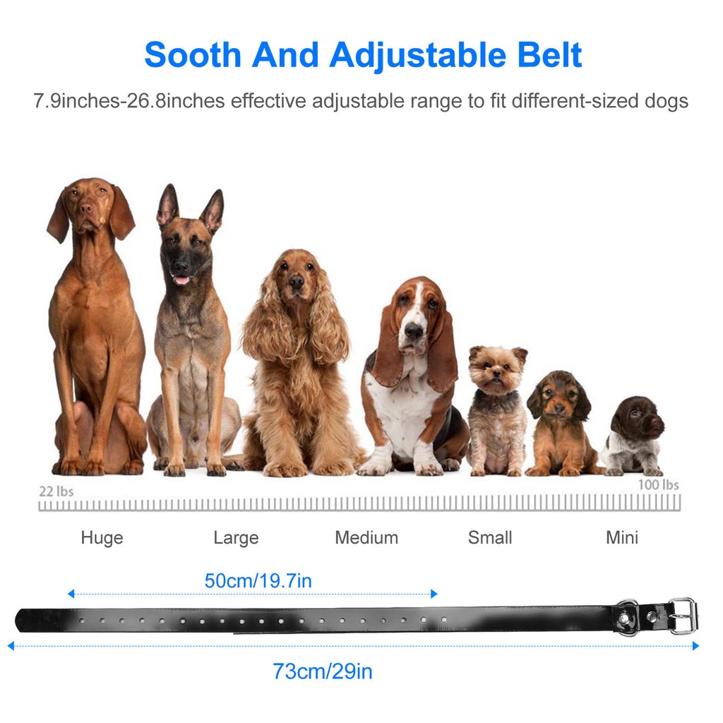Durable Dog Training Collar – Waterproof Remote with 4 Modes — Dog Training | GetPawsy