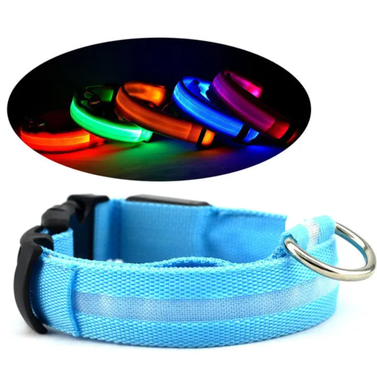 LED Dog Collar – High Visibility Safety Halo Style for Dogs — Dog Collars & Leashes | GetPawsy
