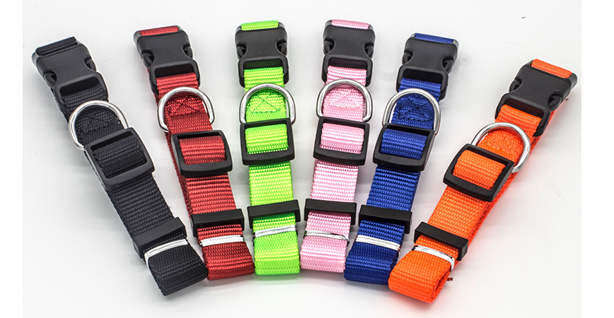 Dog Collar – Adjustable & Comfortable Stylish Collar for Dogs — Dog Collars & Leashes | GetPawsy