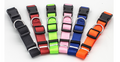 Dog Collar – Adjustable & Comfortable Stylish Collar for Dogs — Dog Collars & Leashes | GetPawsy