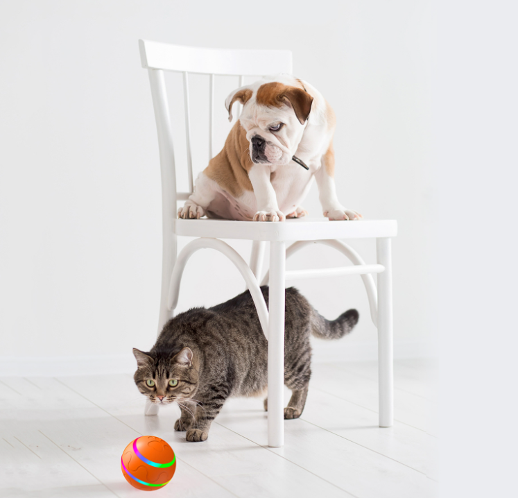 Pet New Cat Wicked Ball Toy Intelligent Ball USB Cat Toys Self Rotating Ball Automatic Rotation Ball — Cat Toys | GetPawsy