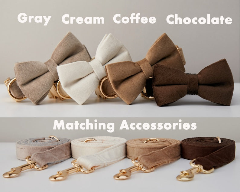 Personalized Dog Collar & Leash Set – Velvet with Bow Tie for Dogs — Dog Collars & Leashes | GetPawsy