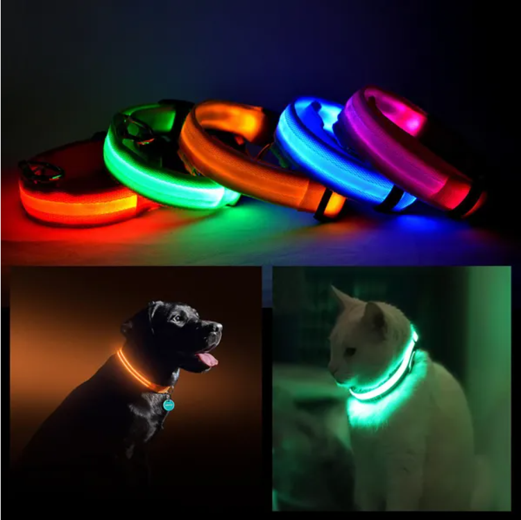 LED Dog Collar – High Visibility Safety Halo Style for Dogs — Dog Collars & Leashes | GetPawsy