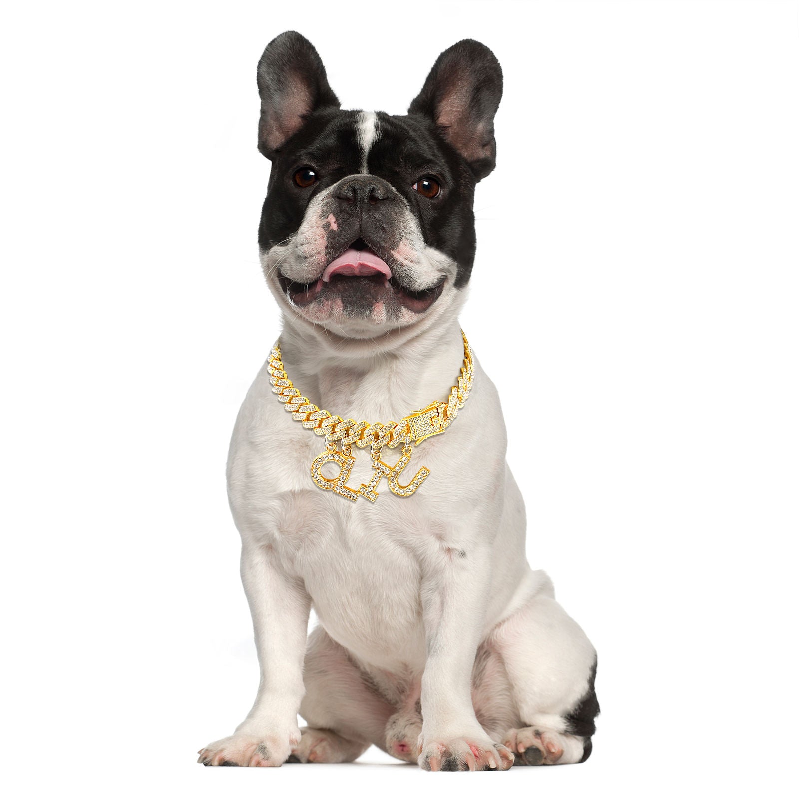 Luxury Dog Collar – Durable Alloy Hardware for Dogs — Dog Collars & Leashes | GetPawsy