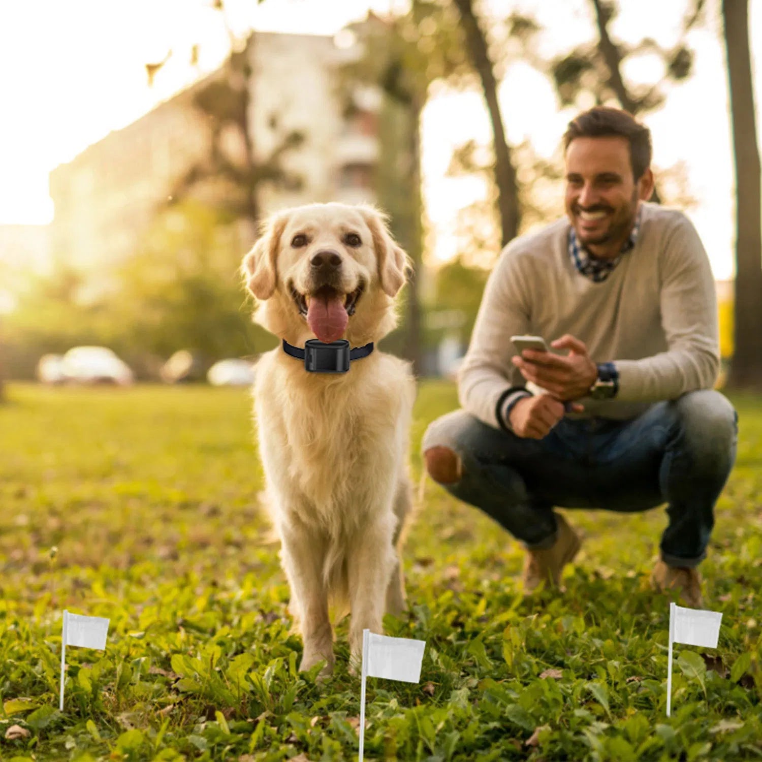 Electric Dog Fence System – Water-Resistant Containment Collar for Dogs — Dog Toys | GetPawsy