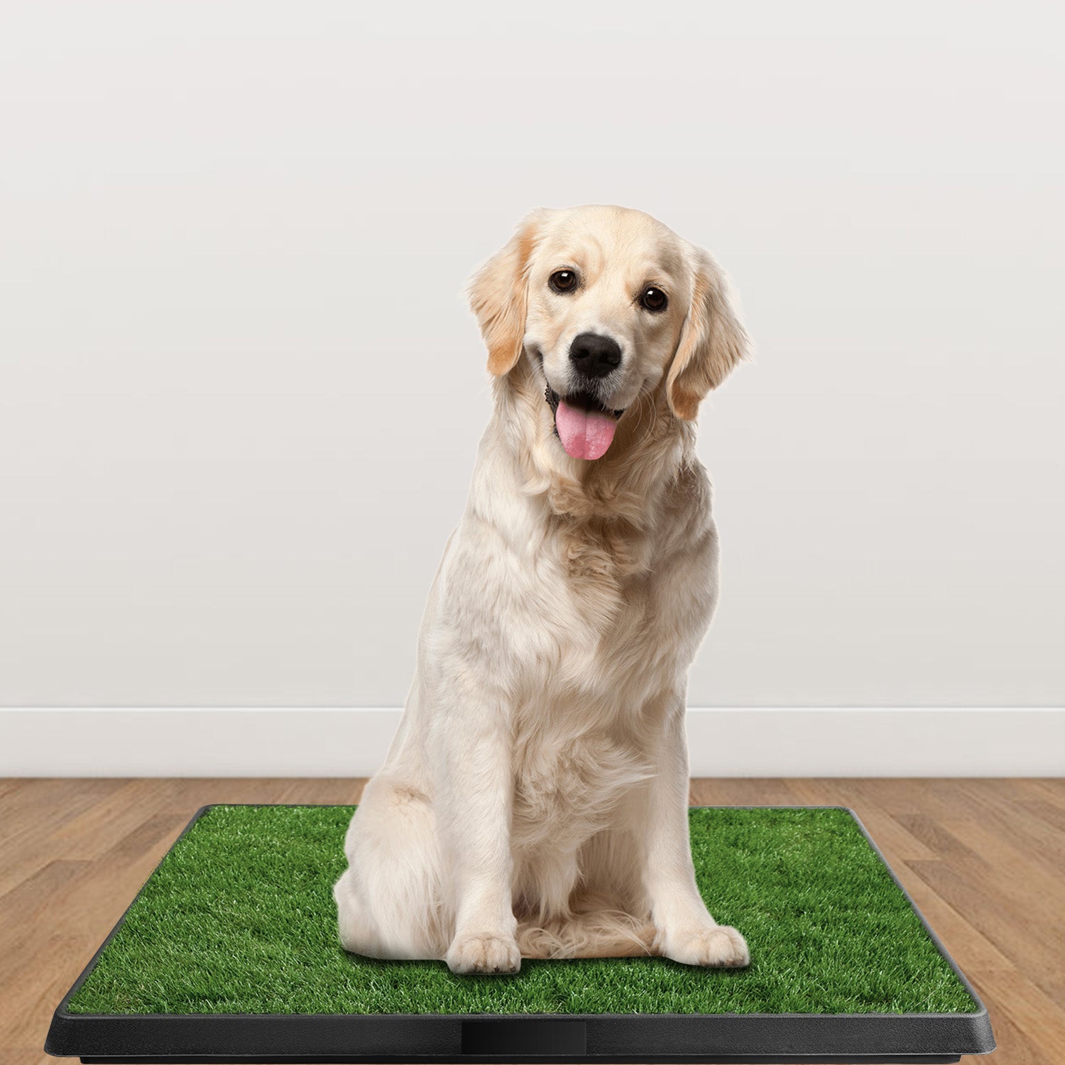 Dog Potty Training Pad – Artificial Grass Mat with Loo Tray for Puppies — Dog Training | GetPawsy
