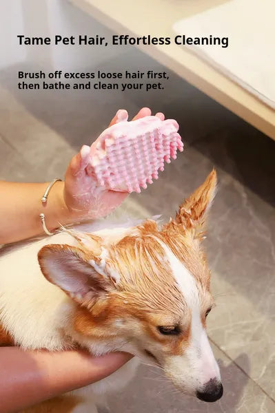 Soothing Dog Grooming Brush – Massage Comb for Dogs — Dog Grooming | GetPawsy