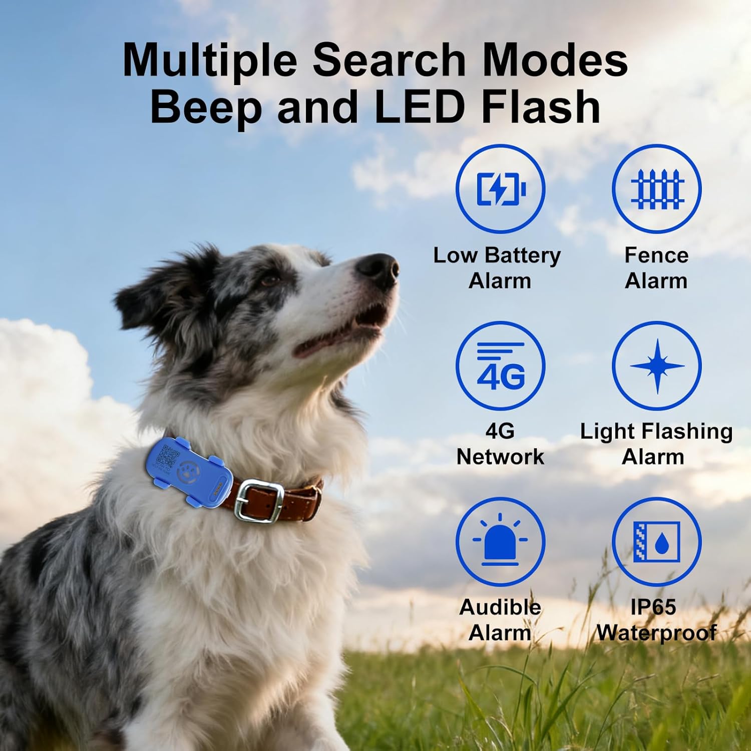 GPS Dog Tracker – Real-Time Anti-Lost Pet Locator with Geofence & Alarm — Dog Collars & Leashes | GetPawsy