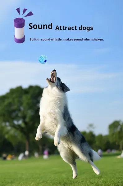 Interactive Squeaky Ball Toy – Sound Enrichment for Dogs & Cats — Dog Toys | GetPawsy