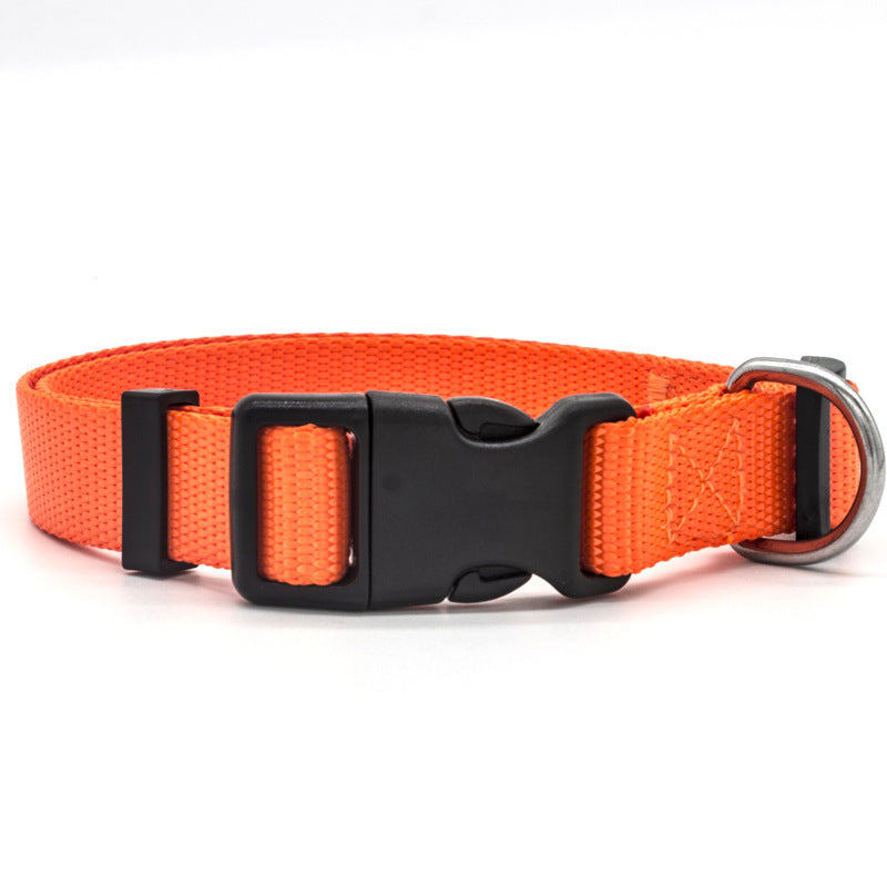 Dog Collar – Adjustable & Comfortable Stylish Collar for Dogs — Dog Collars & Leashes | GetPawsy