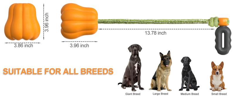 Durable Dog Chew Toy – Interactive Rope for Aggressive Chewers — Dog Toys | GetPawsy