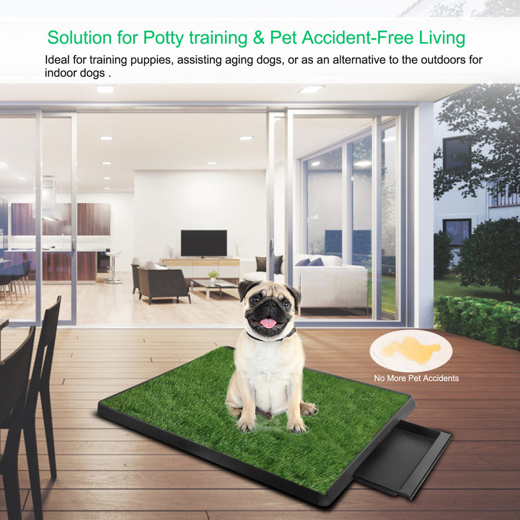 Dog Potty Training Pad – Artificial Grass Mat with Loo Tray for Puppies — Dog Training | GetPawsy