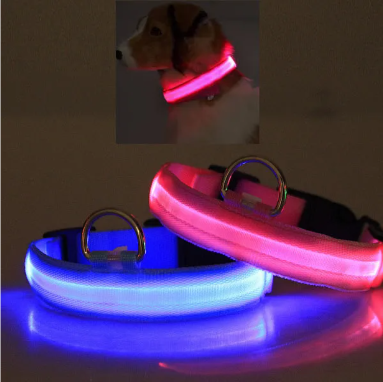 LED Dog Collar – High Visibility Safety Halo Style for Dogs — Dog Collars & Leashes | GetPawsy