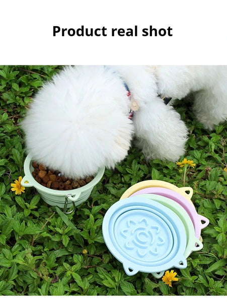Foldable Dog Travel Bowl – 3-in-1 Slow Feeder with Suction Cups — Dog Bowls & Feeders | GetPawsy