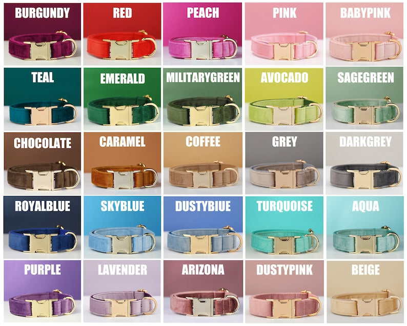 Personalized Dog Collar & Leash Set – Velvet with Bow Tie for Dogs — Dog Collars & Leashes | GetPawsy