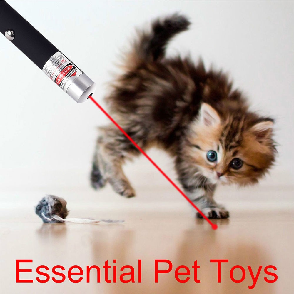 Automatic Cat Toy – Laser Pointer with LED Light for Cats — Cat Toys | GetPawsy