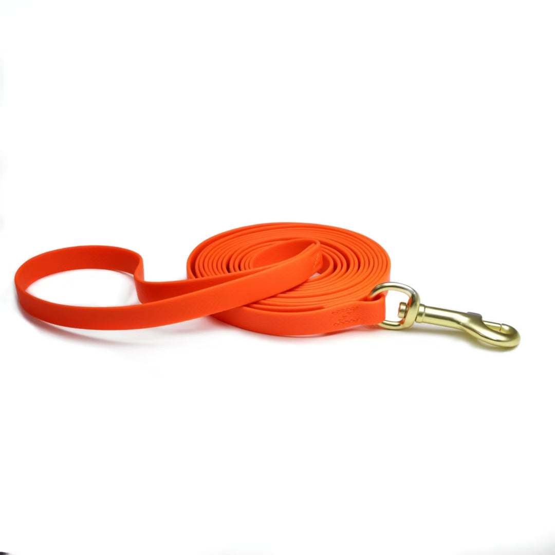 Dog Training Rope – Embossed Recall & Tracking Tool for Dogs — Dog Training | GetPawsy