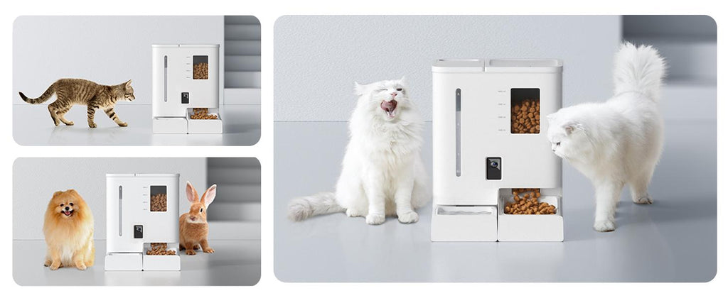 Waithem WiFi Automatic Pet Feeder & Waterer 2-in-1 Set App-Controlled, 2-Week Capacity, Detachable &Washable, Moisture-Proof 
