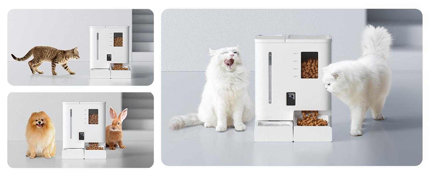 Waithem WiFi Automatic Pet Feeder & Waterer 2-in-1 Set App-Controlled, 2-Week Capacity, Detachable &Washable, Moisture-Proof 
