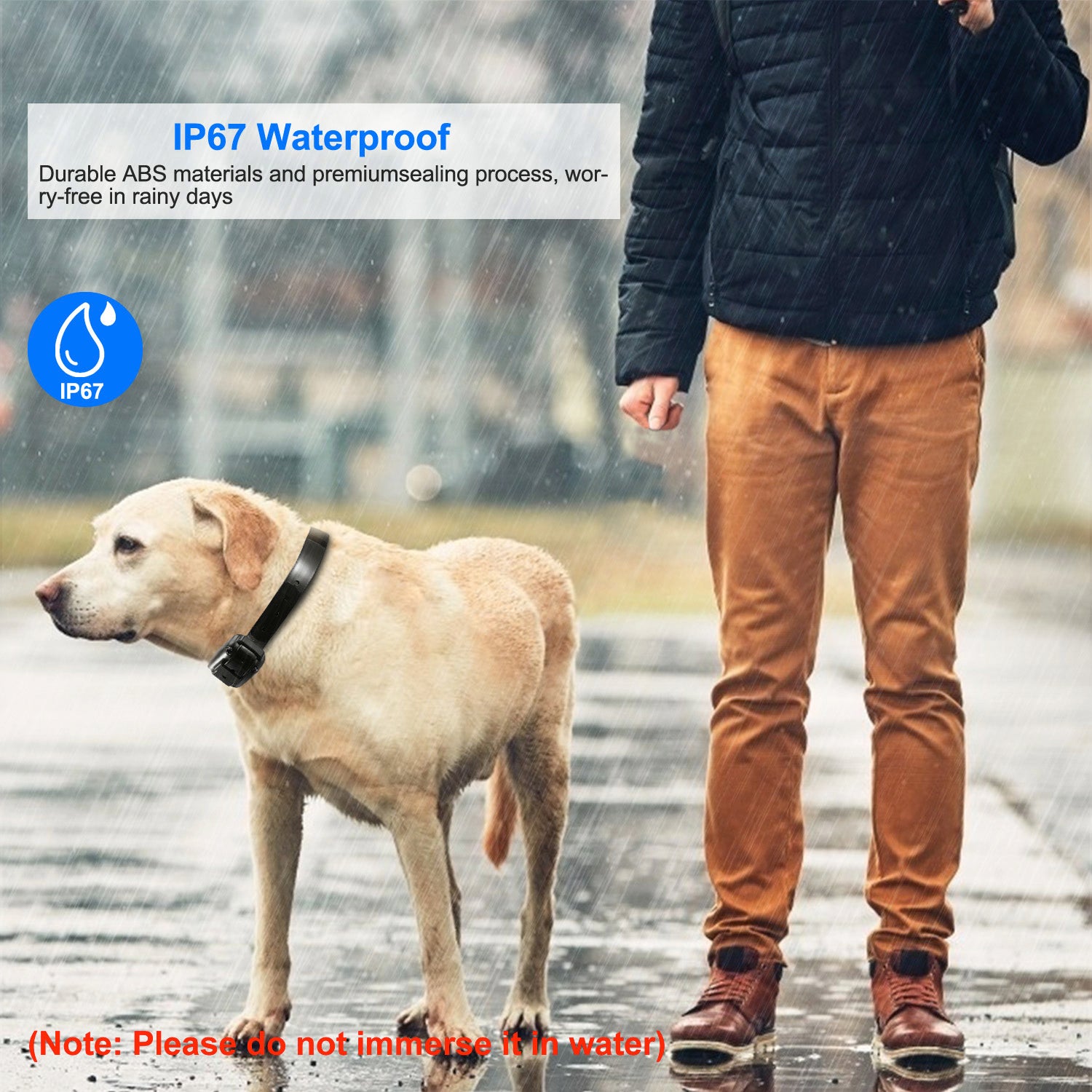 Durable Dog Training Collar – Waterproof Remote with 4 Modes — Dog Training | GetPawsy