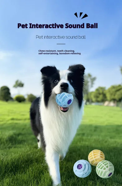 Interactive Squeaky Ball Toy – Sound Enrichment for Dogs & Cats — Dog Toys | GetPawsy