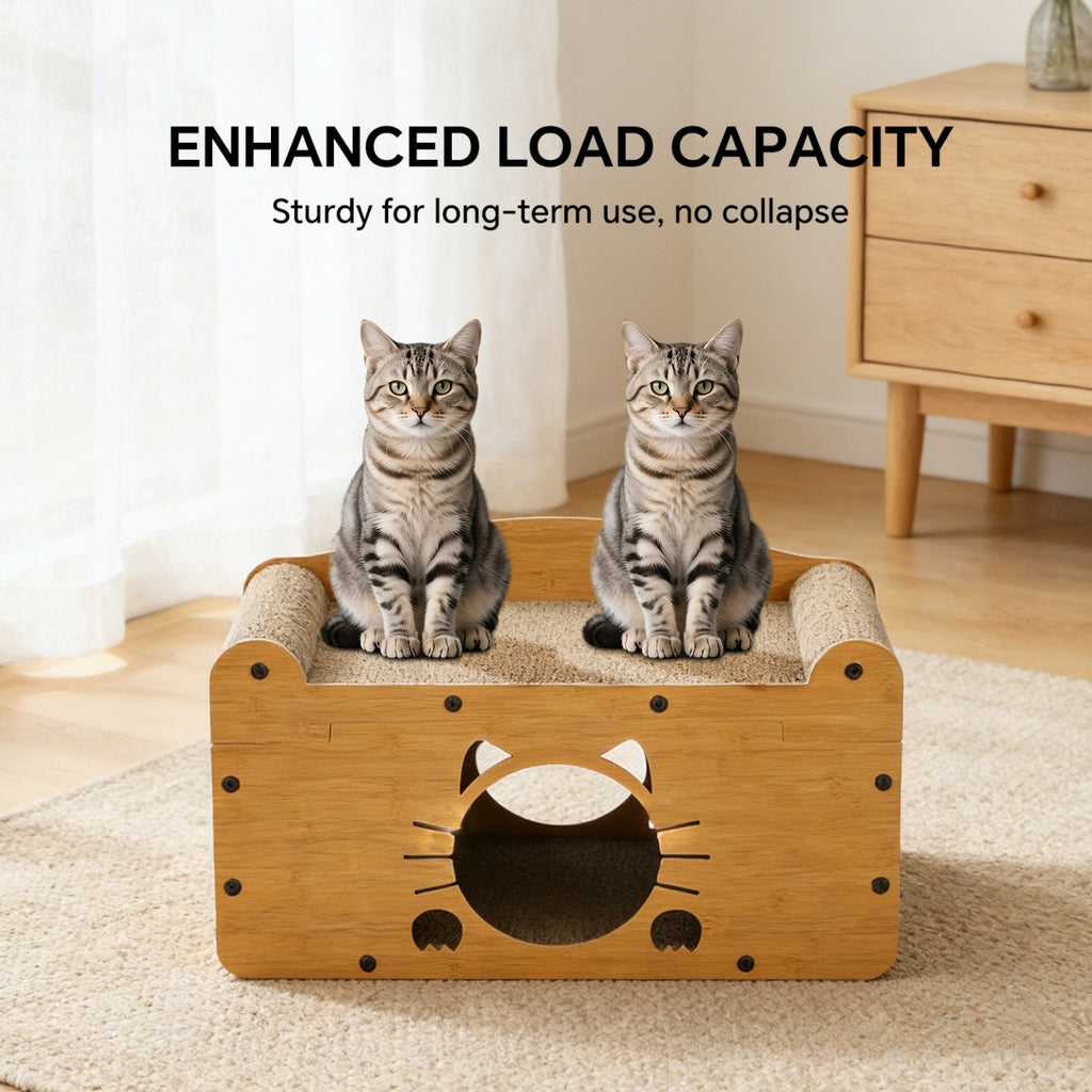 C Sofa Bearded Cat 56 — Pet Furniture Tools | GetPawsy