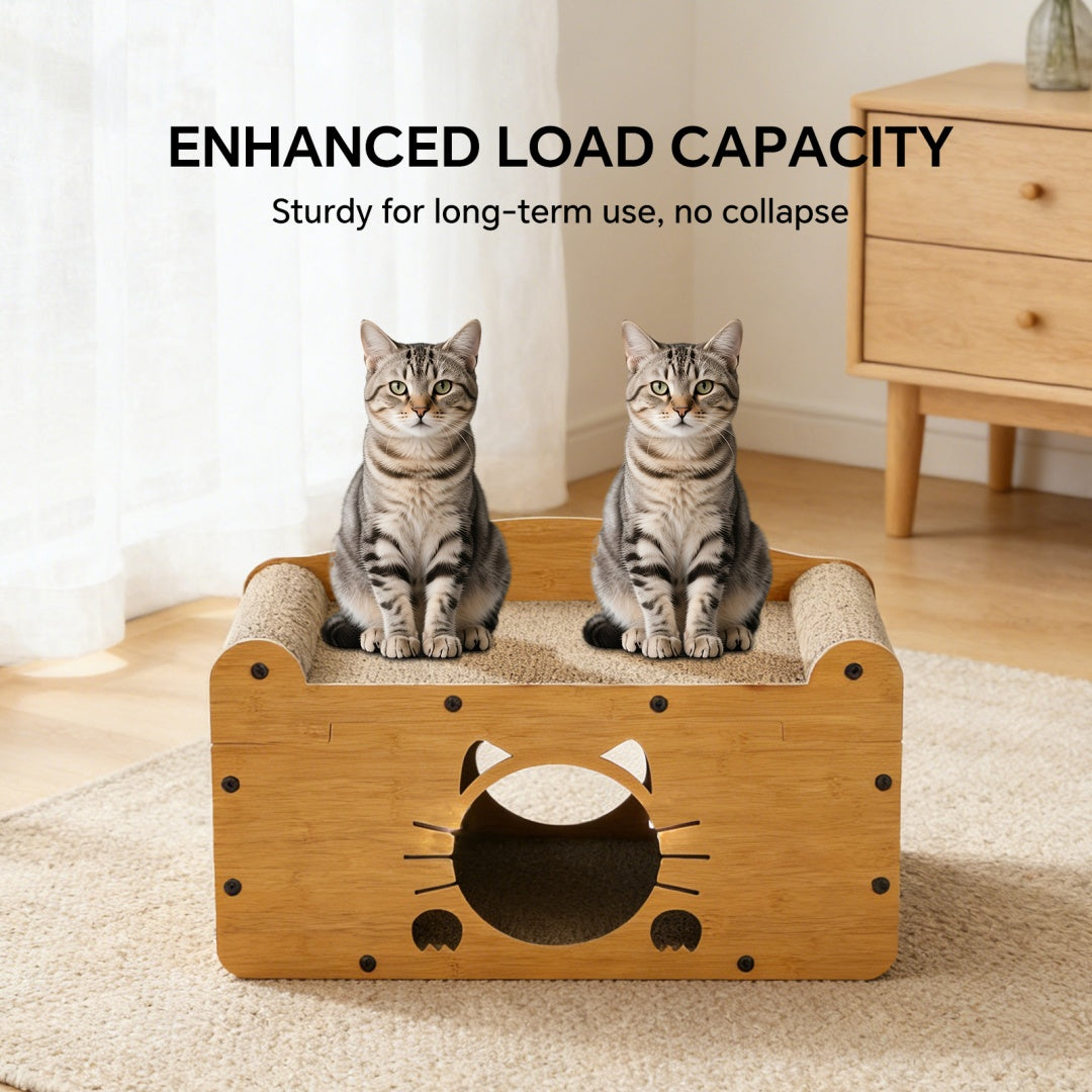C Sofa Bearded Cat 56 — Pet Furniture Tools | GetPawsy