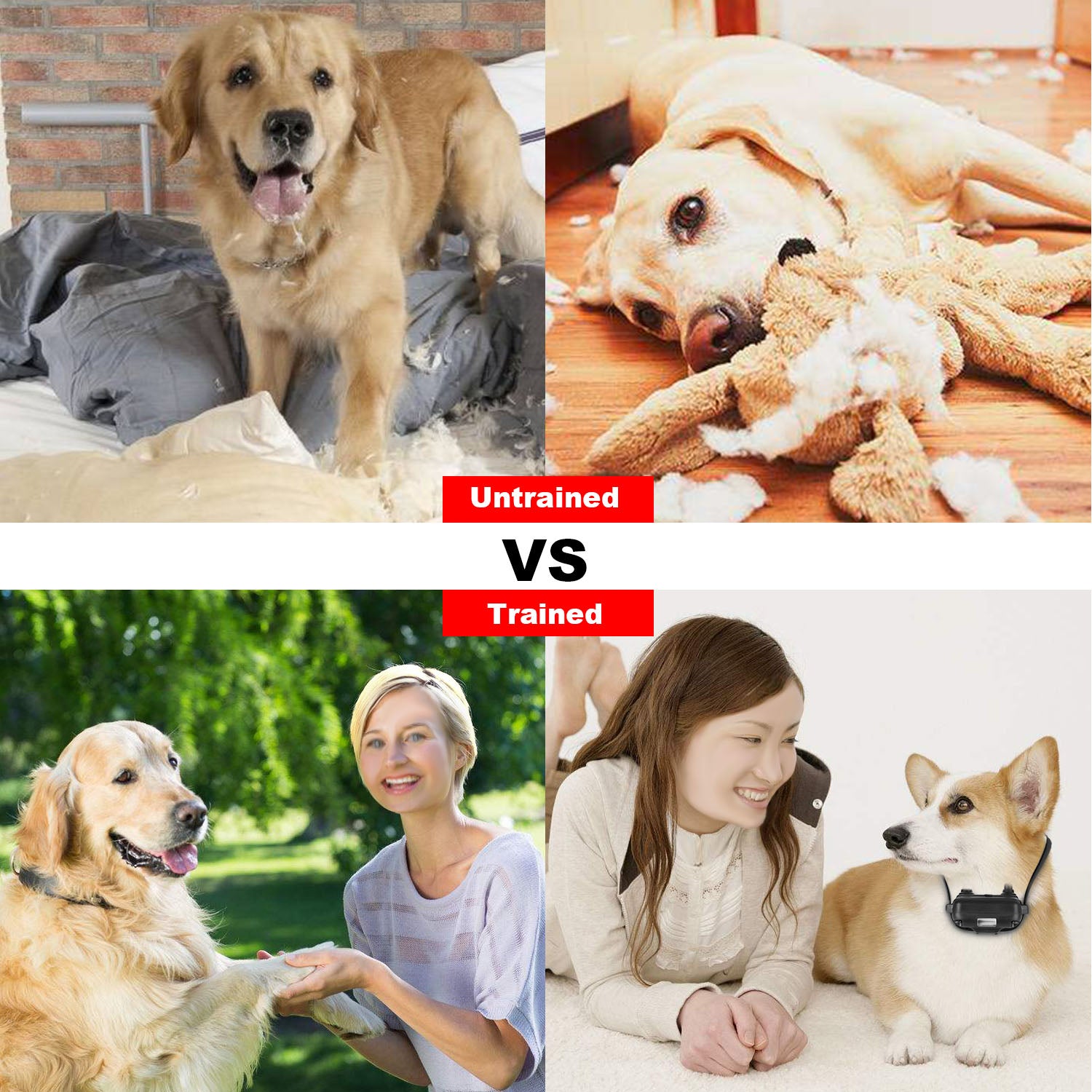 Durable Dog Training Collar – Waterproof Remote with 4 Modes — Dog Training | GetPawsy