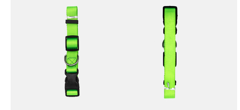 Dog Collar – Adjustable & Comfortable Stylish Collar for Dogs — Dog Collars & Leashes | GetPawsy