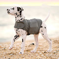 Calming Dog Jacket – Warm Anxiety Relief Vest for Dogs — Dog Carriers | GetPawsy