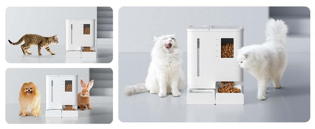 Waithem WiFi Automatic Pet Feeder & Waterer 2-in-1 Set App-Controlled, 2-Week Capacity, Detachable &Washable, Moisture-Proof 