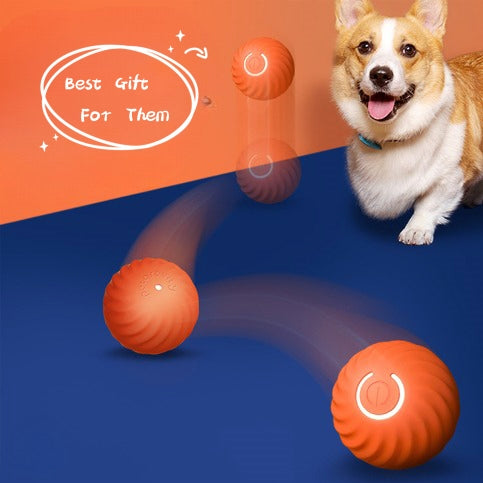 Durable Dog Chew Toy – Rubber Resistance Ball for Puppy Training — Dog Toys | GetPawsy