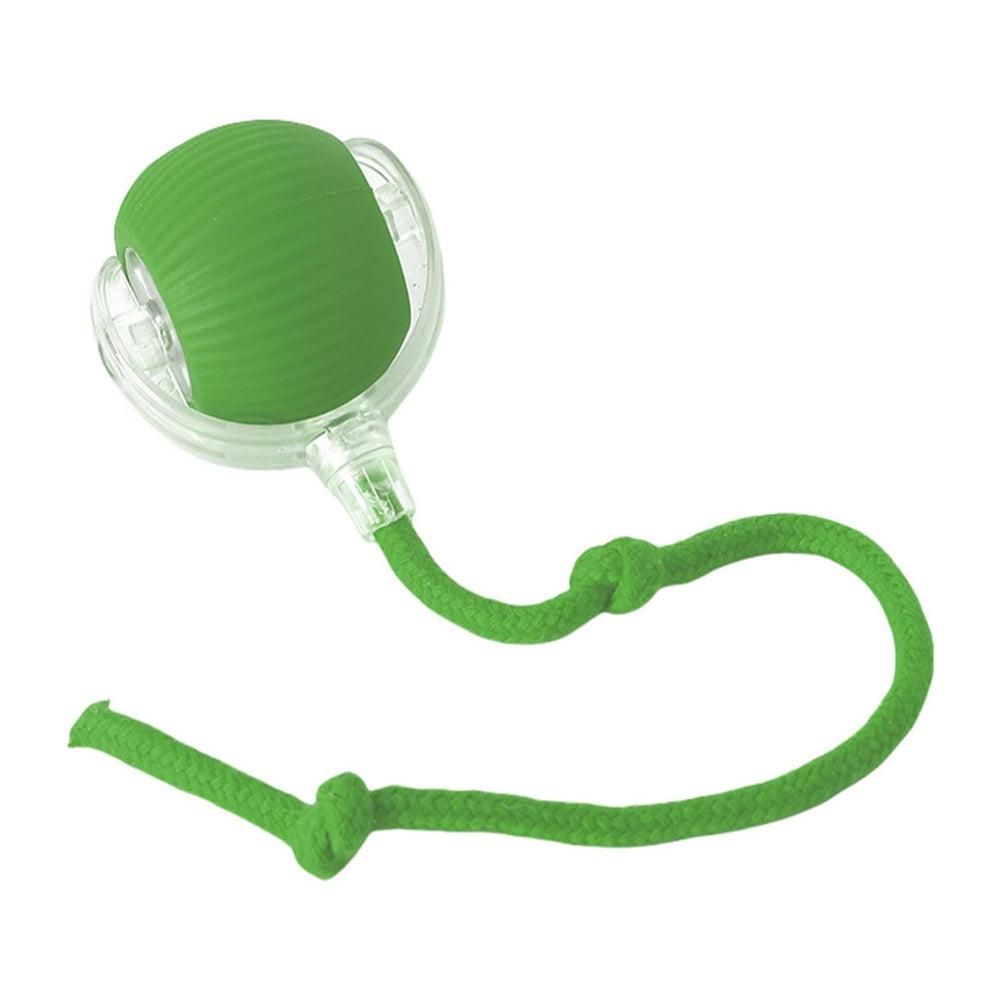 Electric Dog Cat Ball Toy,Indoor Large And Small Cat Dog Interactive Intelligent Rolling Pet Ball — Pet Chase Toys | GetPawsy