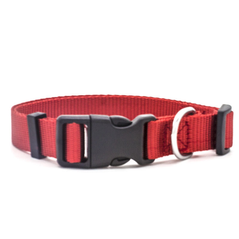 Dog Collar – Adjustable & Comfortable Stylish Collar for Dogs — Dog Collars & Leashes | GetPawsy