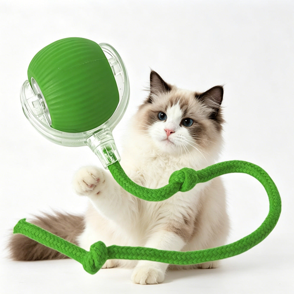 Electric Dog Cat Ball Toy,Indoor Large And Small Cat Dog Interactive Intelligent Rolling Pet Ball — Pet Chase Toys | GetPawsy