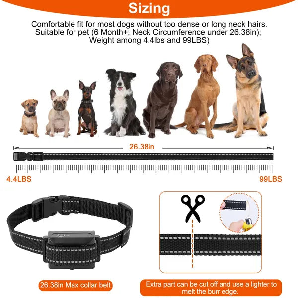 Waterproof Dog Training Collar Receiver – Shock, Vibration & Beep for Dogs — Dog Collars & Leashes | GetPawsy