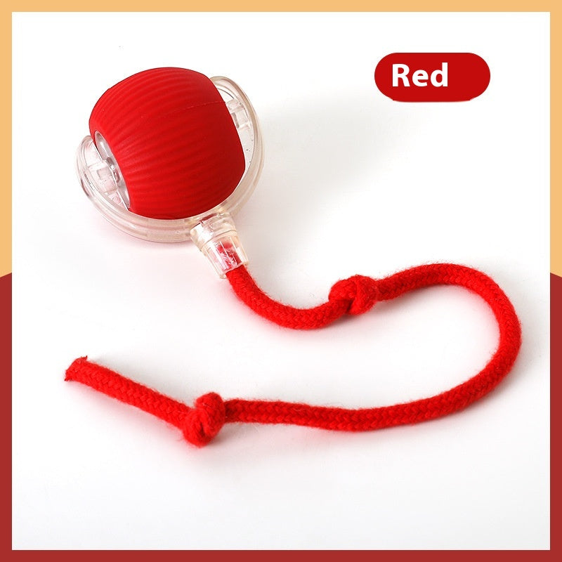 Interactive Cat Toy Ball Super Drive Cat Rolling Ball — Cat Toys | GetPawsy