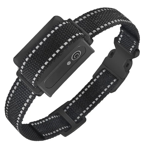 Waterproof Dog Training Collar Receiver – Shock, Vibration & Beep for Dogs — Dog Collars & Leashes | GetPawsy