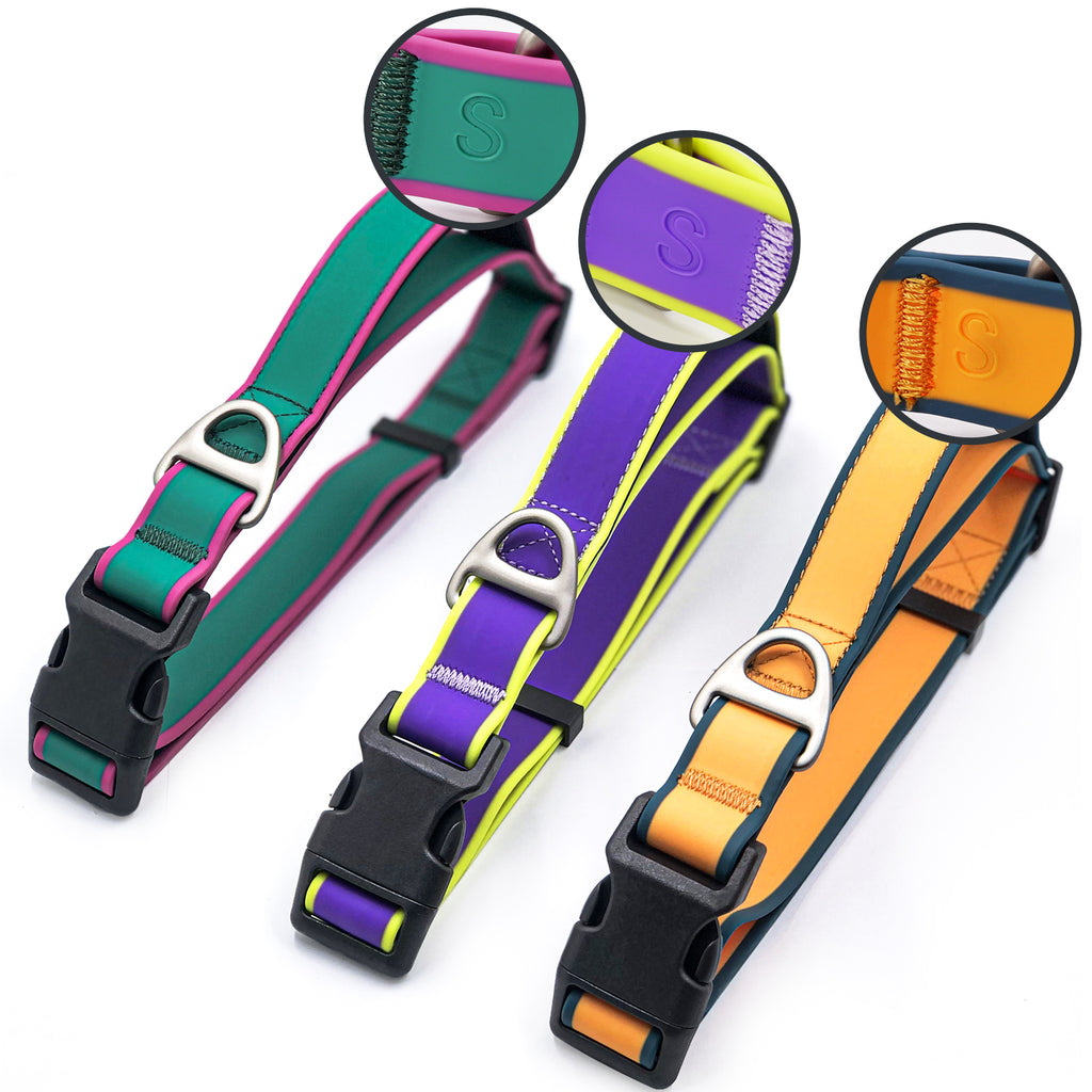 Tactical Dog Collar – Fashionable Control Collar for Dogs — Dog Collars & Leashes | GetPawsy
