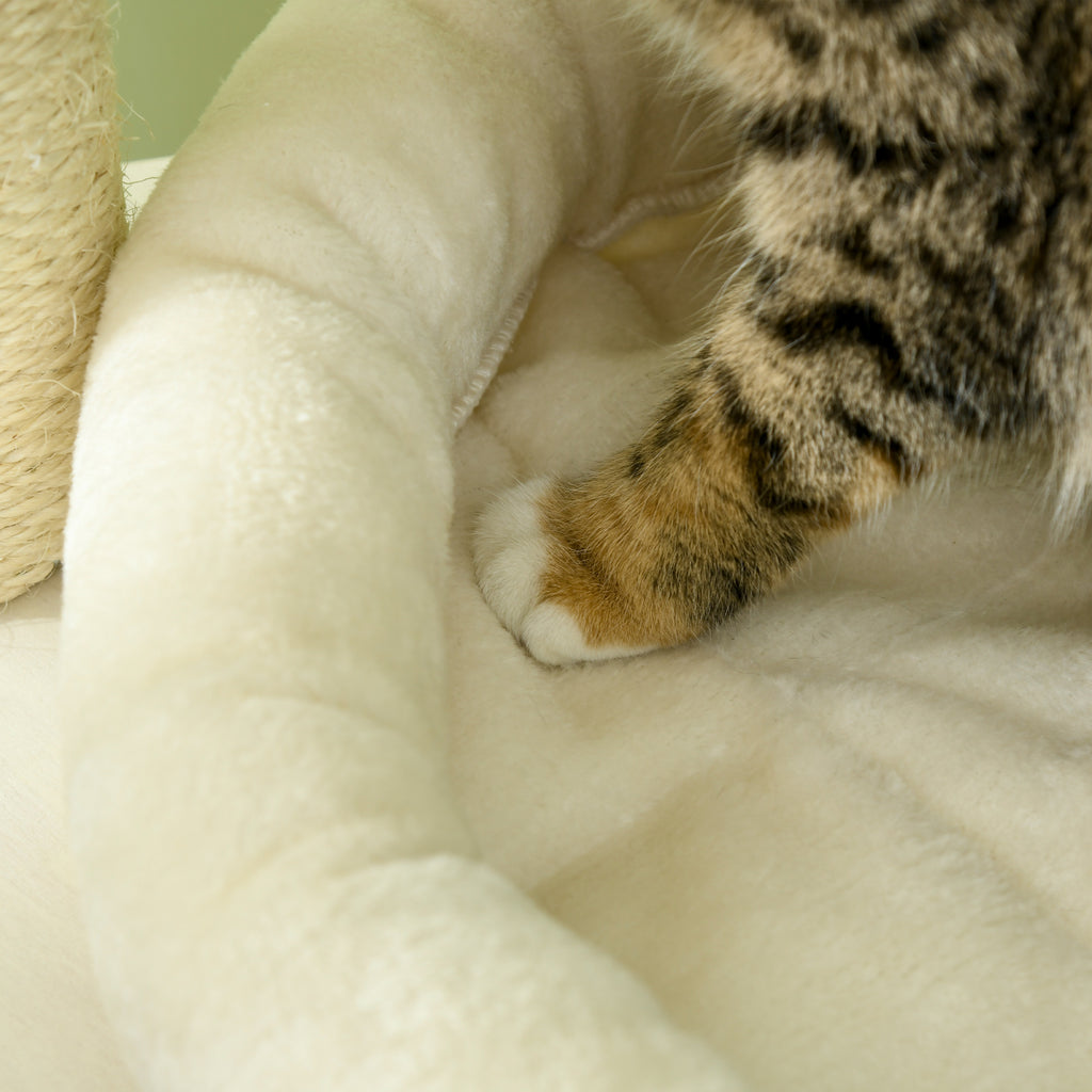  Cat Tree, 3 Level Cat Tower with Scratching Posts, Bed, Condo, Badminton Toys, for Multiple Kittens — Cat Trees & Condos | G