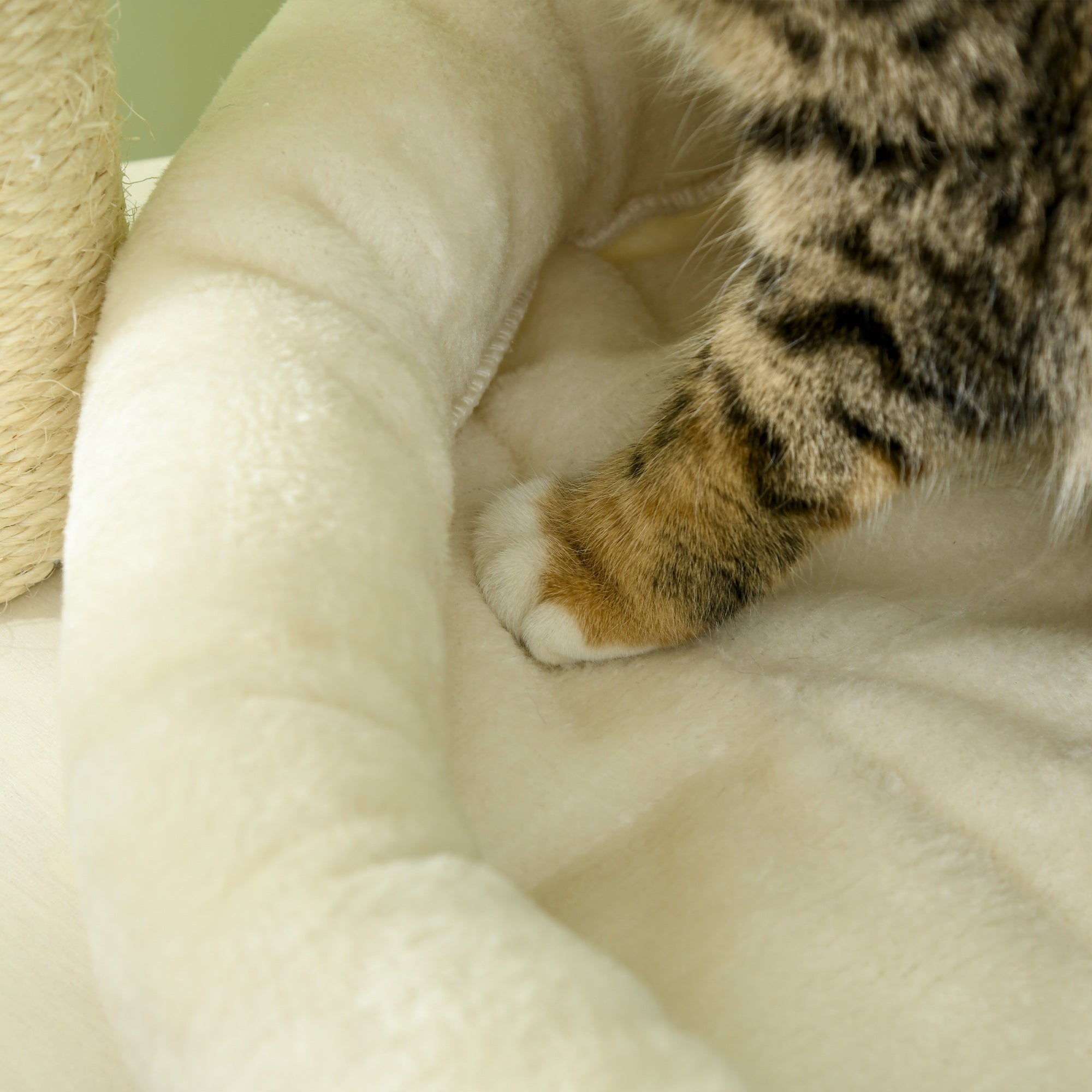  Cat Tree, 3 Level Cat Tower with Scratching Posts, Bed, Condo, Badminton Toys, for Multiple Kittens — Cat Trees & Condos | G