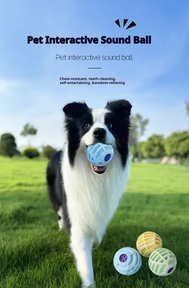Interactive Squeaky Ball Toy – Sound Enrichment for Dogs & Cats — Dog Toys | GetPawsy
